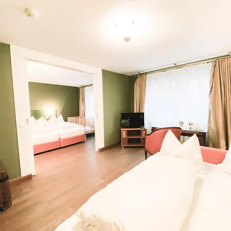 Steiner Superior Hotel 4*
