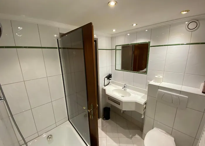 Steiner Superior Hotel 4*